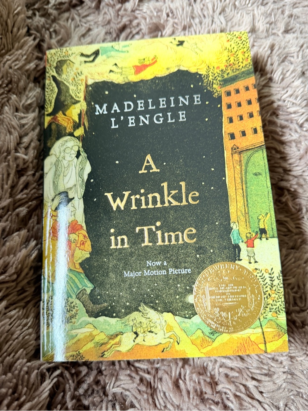 A Wrinkle in Time by Madeleine L'Engle - paperback Young Adults book